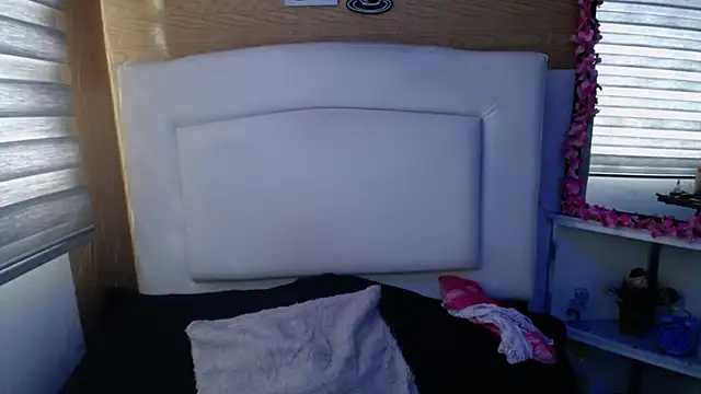 Snapshot of palmer_mIix chatting on December 19, 2024, 8:23 pm palmer mIix online show from December 19, 2024, 8:23 pm