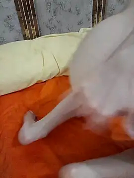 abyusif101099 online show from February 25, 2025, 4:57 am