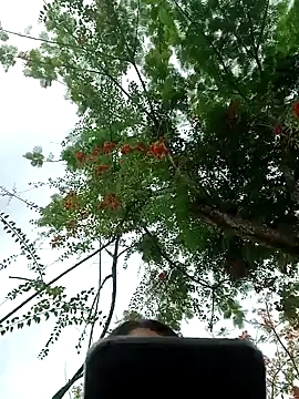 Karol-kamila19 online show from December 3, 2024, 9:01 pm