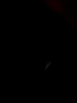 Kasandra Ho online show from January 22, 2025, 1:42 am