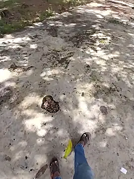 sudhastriper online show from October 26, 2025, 7:58 am