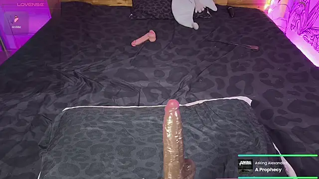 kellycakemeow online show from June 17, 2026, 5:21 am