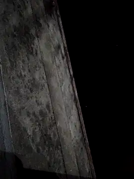 sana14 online show from March 1, 2025, 3:05 pm