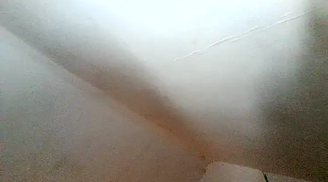 unclestefansdick online show from December 10, 2024, 6:28 pm