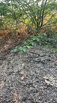 tamil000000 online show from March 10, 2025, 1:56 am