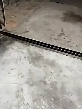 PracticalGum40 online show from December 3, 2024, 4:06 pm