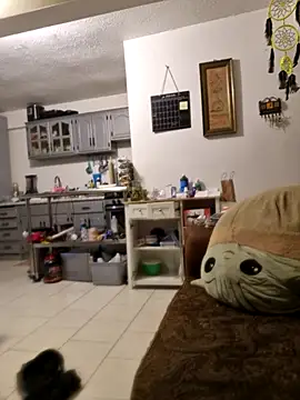 abdierkader online show from November 12, 2025, 9:03 pm