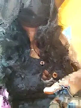 Tamillminnal online show from September 13, 2025, 5:02 pm