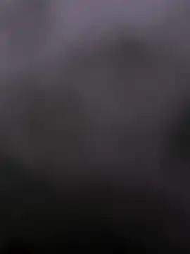 faaseel online show from February 13, 2025, 3:50 am