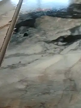 imissyoumylove14 online show from February 8, 2026, 8:40 am