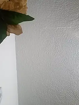 Naomy veracruz  online show from March 8, 2026, 10:52 am