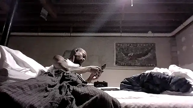 Snapshot of KinGKane84 chatting on December 24, 2024, 6:44 am KinGKane84 online show from December 24, 2024, 6:44 am