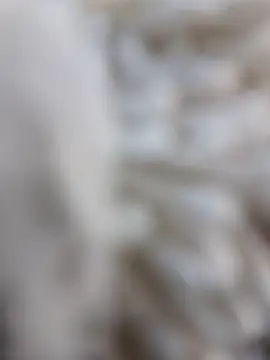 lemon69Reo online show from February 15, 2026, 8:38 pm