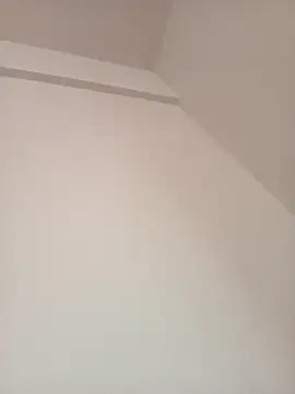 Morguisssz online show from October 11, 2025, 10:58 am