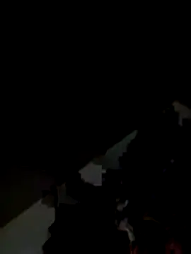 Snapshot of Kitjai200301 chatting on November 1, 2025, 7:43 am Kitjai200301 online show from November 1, 2025, 7:43 am