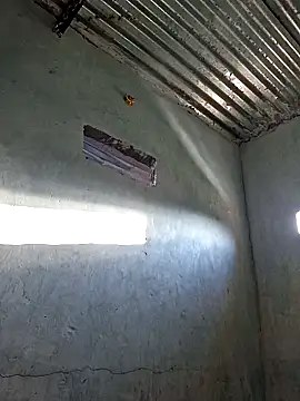 chubby sexy big tits online show from January 7, 2026, 11:56 am