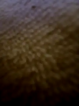 houy111111 online show from February 3, 2026, 5:51 pm