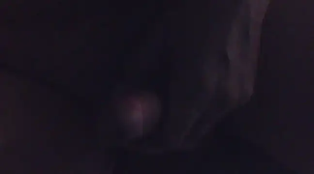 Penis58 online show from February 16, 2025, 1:05 pm