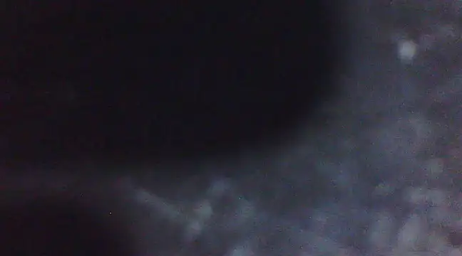 Penis58 online show from March 10, 2025, 6:45 pm