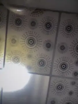 adam-rivera online show from October 1, 2025, 5:08 pm