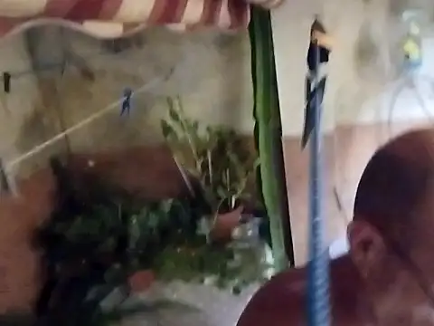 soy 5 online show from September 10, 2025, 8:53 pm