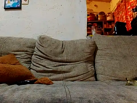 Snapshot of NewBe9D9 chatting on November 23, 2025, 9:42 am NewBe9D9 online show from November 23, 2025, 9:42 am