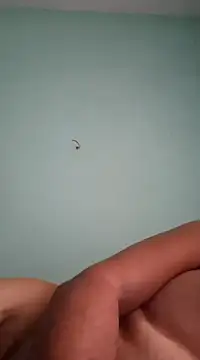 alexjs84 online show from December 16, 2024, 11:12 am