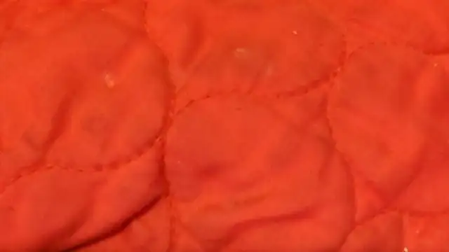 Huntzg23 online show from November 28, 2025, 7:44 am