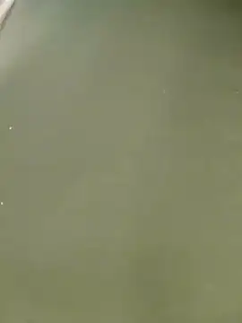 Miss balloonsmila online show from January 22, 2025, 9:54 pm