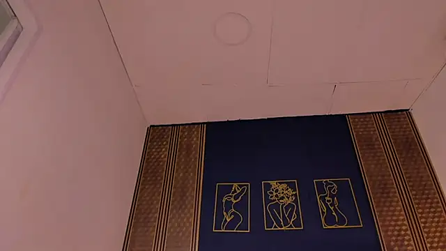  dakota a online show from January 8, 2025, 9:44 pm