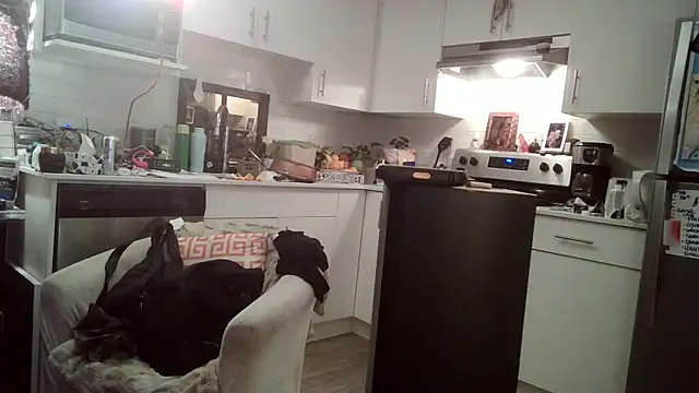 Snapshot of SilverandFox chatting on March 11, 2025, 11:44 am SilverandFox online show from March 11, 2025, 11:44 am