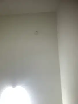 Snapshot of bidex002 chatting on May 15, 2026, 11:56 pm bidex002 online show from May 15, 2026, 11:56 pm