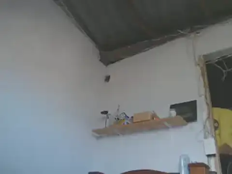 gatoalex89 online show from January 15, 2025, 8:05 pm