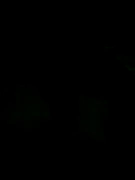 Snapshot of andreiwhite2_ chatting on December 18, 2025, 12:06 am andreiwhite2 online show from December 18, 2025, 12:06 am