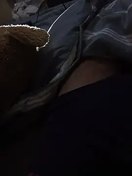 Snapshot of TheRiseOfDick chatting on April 8, 2026, 1:16 am TheRiseOfDick online show from April 8, 2026, 1:16 am