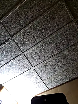 zaneporter46 online show from February 25, 2025, 3:42 am