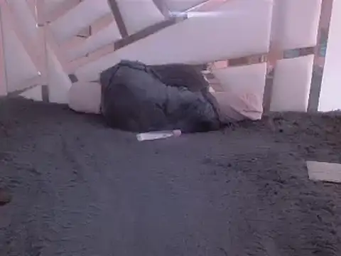 GabrielaFerrer02 online show from January 25, 2025, 2:47 pm