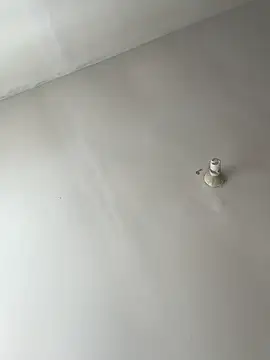 Snapshot of lunagonzales_lima_2007 chatting on February 21, 2025, 8:38 pm lunagonzales lima 2007 online show from February 21, 2025, 8:38 pm