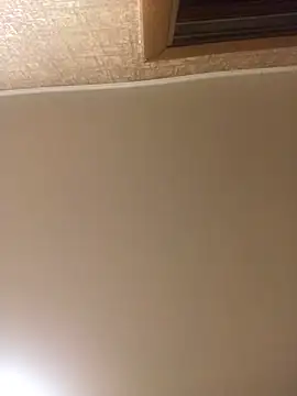 Prolisok473 online show from January 30, 2025, 3:29 pm