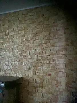 Prolisok473 online show from February 28, 2025, 8:31 am