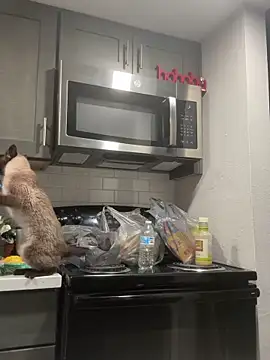 ParkerGYATT online show from April 9, 2026, 12:54 am