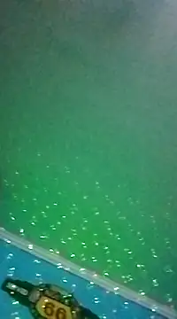 Snapshot of Elrep_tile chatting on March 11, 2025, 4:10 am Elrep tile online show from March 11, 2025, 4:10 am