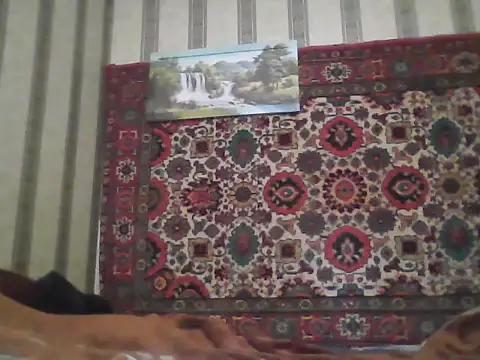 AlferezzSolvajo online show from November 21, 2025, 12:15 pm