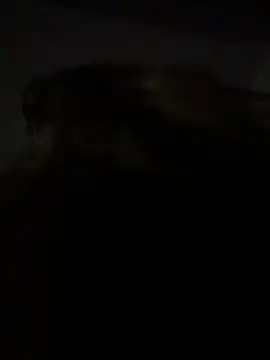 Kitty DaCocks online show from January 7, 2026, 12:13 am