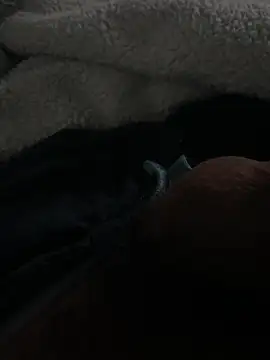 chupesex online show from March 14, 2025, 5:16 am