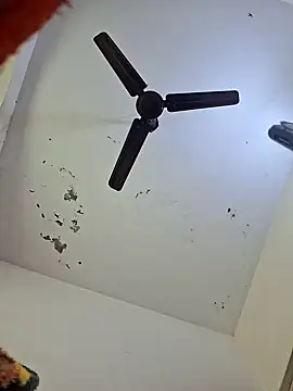 Tanu-Call-Me online show from January 18, 2025, 5:10 am