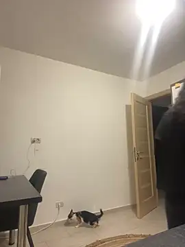 NNNoire online show from September 26, 2025, 10:41 am