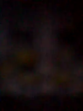 missAmanda69 online show from July 29, 2026, 11:25 pm