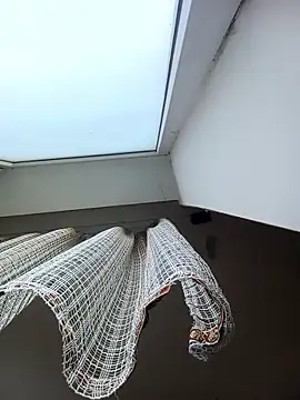 Lauren Amabel online show from January 9, 2026, 8:17 am