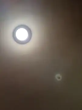 MrDaddyBbSnake online show from January 28, 2025, 4:29 am